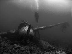 Jake's Seaplane Wreck in Palau with my lovely wifey float... by Alex Tattersall 